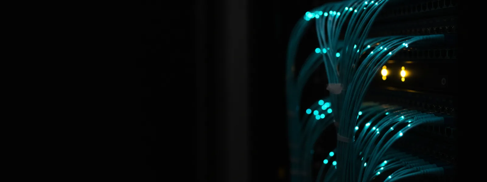 Close-up of a switch wall with dozens of fibre patch leads fanning out, connector tips catching the light.